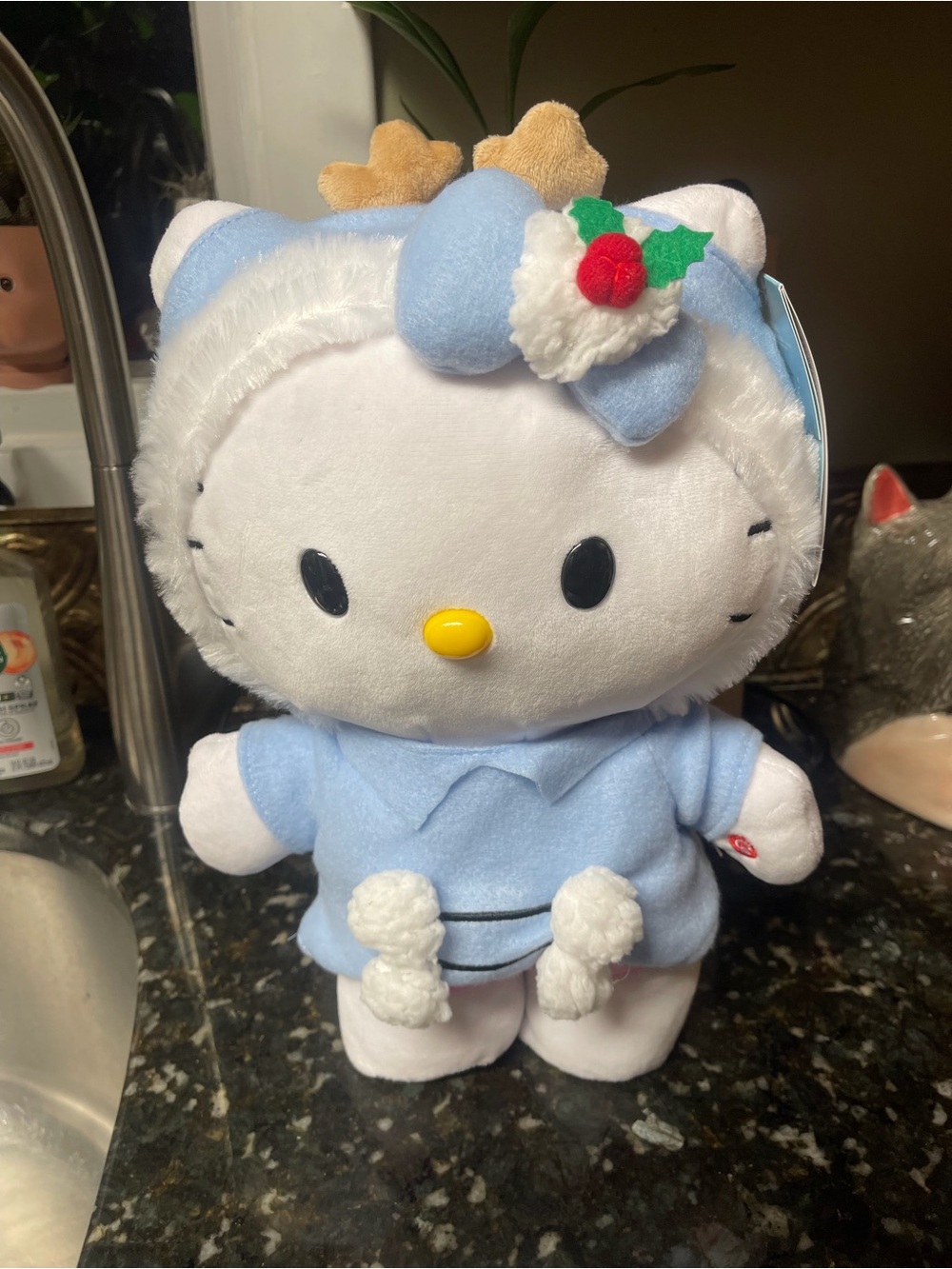 Sanrio Hello Kitty winter side stepper